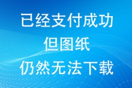 已经支付成功，但图纸仍然无法下载？
