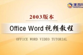 Office Word 2003视频教程