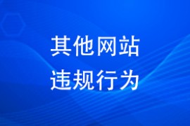 其他网站违规行为