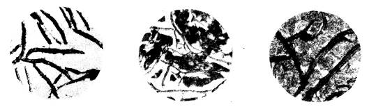 机械制造工程_4.1工程金属材料(4)(图文教程),教程,第3张 机械制造工程_4.1工程金属材料(4)(图文教程),机械制造工程_4.1工程金属材料(4),教程,第3张