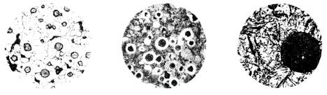 机械制造工程_4.1工程金属材料(4)(图文教程),教程,第5张 机械制造工程_4.1工程金属材料(4)(图文教程),机械制造工程_4.1工程金属材料(4),教程,第5张
