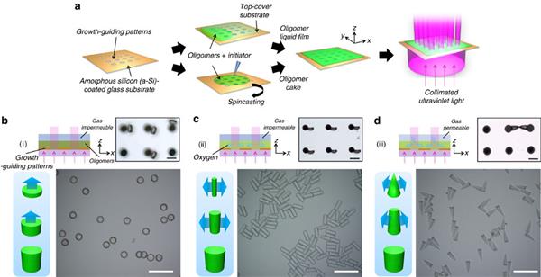 新型光刻技术使用氧气做抑制剂3D打印微型结构（图文教程）,新型光刻技术使用氧气做抑制剂3D打印微型结构,第1张