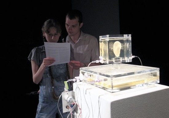 3D打印重现梵高左耳(图文教程),打印,第2张 3D打印重现梵高左耳(图文教程),3D打印重现梵高左耳,打印,第2张