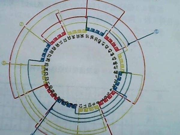 三相异步电动机的转速与极数的关系(图文教程),图文,第1张 三相异步电动机的转速与极数的关系(图文教程),三相异步电动机的转速与极数的关系,图文,第1张