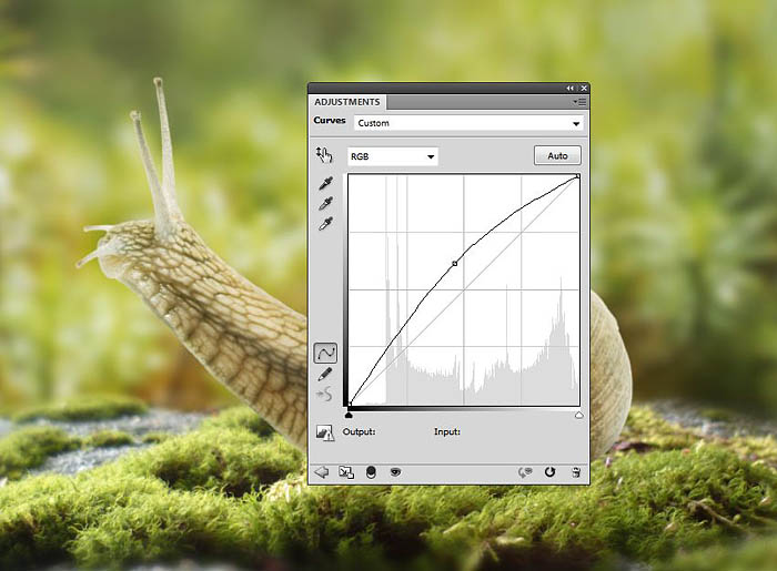 PS合成蜗牛背上的梦幻房子教程(图文教程),选择,直径,形状,第20张 PS合成蜗牛背上的梦幻房子教程(图文教程),PS合成蜗牛背上的梦幻房子教程,选择,直径,形状,第20张