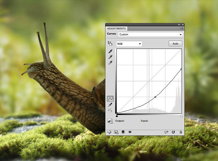 PS合成蜗牛背上的梦幻房子教程(图文教程),选择,直径,形状,第18张 PS合成蜗牛背上的梦幻房子教程(图文教程),PS合成蜗牛背上的梦幻房子教程,选择,直径,形状,第18张