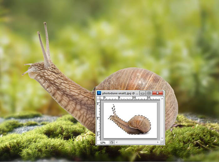 PS合成蜗牛背上的梦幻房子教程(图文教程),选择,直径,形状,第15张 PS合成蜗牛背上的梦幻房子教程(图文教程),PS合成蜗牛背上的梦幻房子教程,选择,直径,形状,第15张