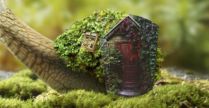 PS合成蜗牛背上的梦幻房子教程(图文教程),选择,直径,形状,第36张 PS合成蜗牛背上的梦幻房子教程(图文教程),PS合成蜗牛背上的梦幻房子教程,选择,直径,形状,第36张