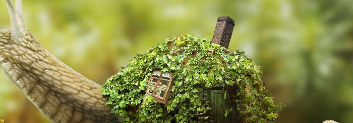 PS合成蜗牛背上的梦幻房子教程(图文教程),选择,直径,形状,第55张 PS合成蜗牛背上的梦幻房子教程(图文教程),PS合成蜗牛背上的梦幻房子教程,选择,直径,形状,第55张