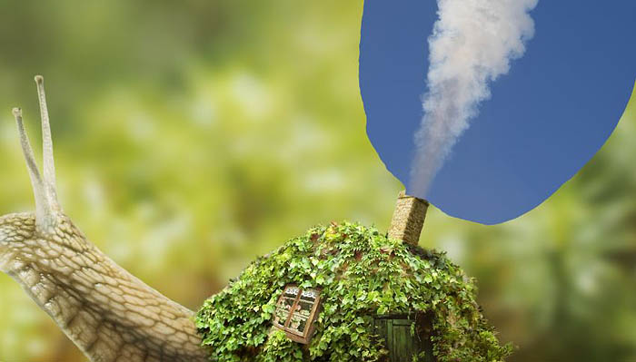 PS合成蜗牛背上的梦幻房子教程(图文教程),选择,直径,形状,第60张 PS合成蜗牛背上的梦幻房子教程(图文教程),PS合成蜗牛背上的梦幻房子教程,选择,直径,形状,第60张