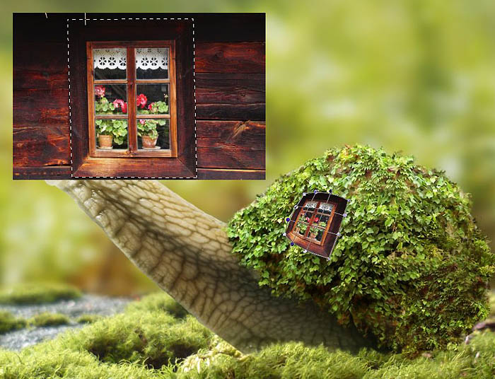 PS合成蜗牛背上的梦幻房子教程(图文教程),选择,直径,形状,第30张 PS合成蜗牛背上的梦幻房子教程(图文教程),PS合成蜗牛背上的梦幻房子教程,选择,直径,形状,第30张