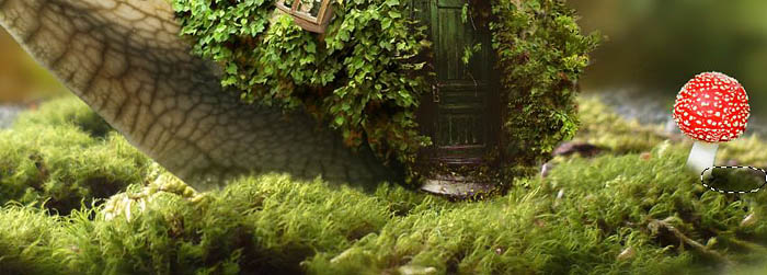 PS合成蜗牛背上的梦幻房子教程(图文教程),选择,直径,形状,第44张 PS合成蜗牛背上的梦幻房子教程(图文教程),PS合成蜗牛背上的梦幻房子教程,选择,直径,形状,第44张