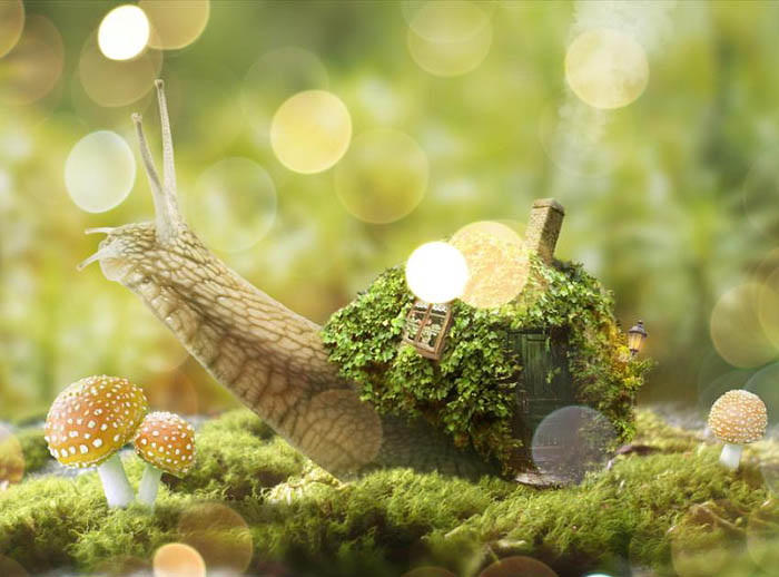 PS合成蜗牛背上的梦幻房子教程(图文教程),选择,直径,形状,第72张 PS合成蜗牛背上的梦幻房子教程(图文教程),PS合成蜗牛背上的梦幻房子教程,选择,直径,形状,第72张