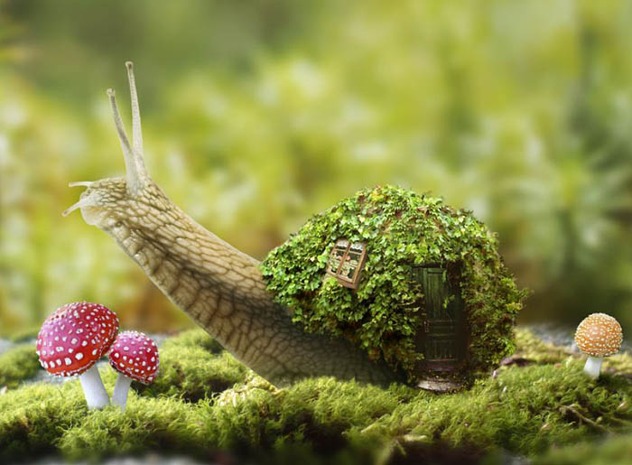 PS合成蜗牛背上的梦幻房子教程(图文教程),选择,直径,形状,第49张 PS合成蜗牛背上的梦幻房子教程(图文教程),PS合成蜗牛背上的梦幻房子教程,选择,直径,形状,第49张