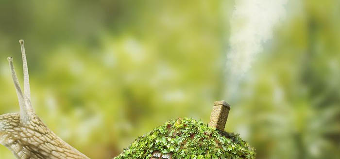 PS合成蜗牛背上的梦幻房子教程(图文教程),选择,直径,形状,第61张 PS合成蜗牛背上的梦幻房子教程(图文教程),PS合成蜗牛背上的梦幻房子教程,选择,直径,形状,第61张