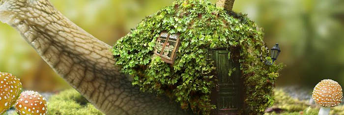 PS合成蜗牛背上的梦幻房子教程(图文教程),选择,直径,形状,第66张 PS合成蜗牛背上的梦幻房子教程(图文教程),PS合成蜗牛背上的梦幻房子教程,选择,直径,形状,第66张