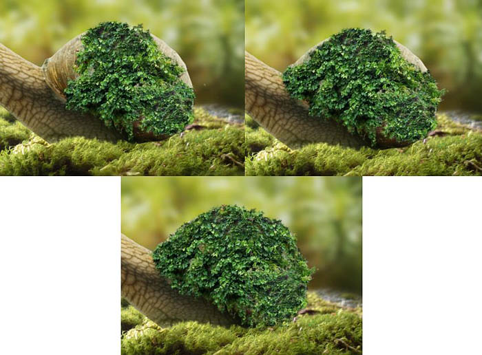 PS合成蜗牛背上的梦幻房子教程(图文教程),选择,直径,形状,第25张 PS合成蜗牛背上的梦幻房子教程(图文教程),PS合成蜗牛背上的梦幻房子教程,选择,直径,形状,第25张