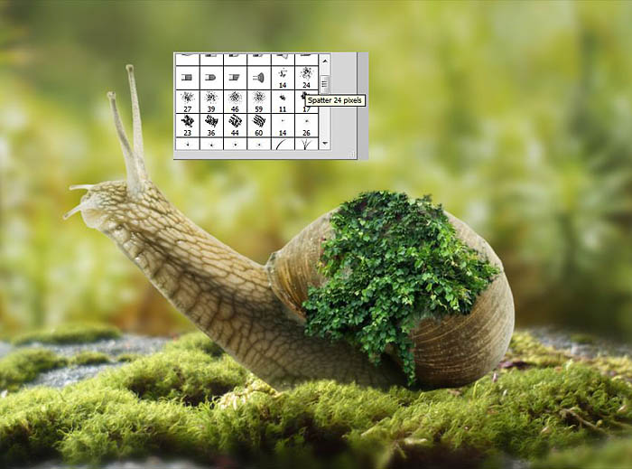 PS合成蜗牛背上的梦幻房子教程(图文教程),选择,直径,形状,第24张 PS合成蜗牛背上的梦幻房子教程(图文教程),PS合成蜗牛背上的梦幻房子教程,选择,直径,形状,第24张