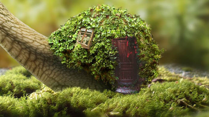 PS合成蜗牛背上的梦幻房子教程(图文教程),选择,直径,形状,第37张 PS合成蜗牛背上的梦幻房子教程(图文教程),PS合成蜗牛背上的梦幻房子教程,选择,直径,形状,第37张