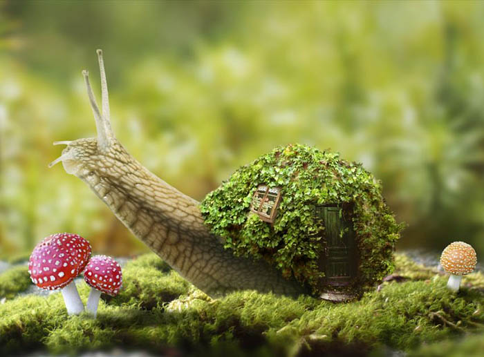 PS合成蜗牛背上的梦幻房子教程(图文教程),选择,直径,形状,第50张 PS合成蜗牛背上的梦幻房子教程(图文教程),PS合成蜗牛背上的梦幻房子教程,选择,直径,形状,第50张