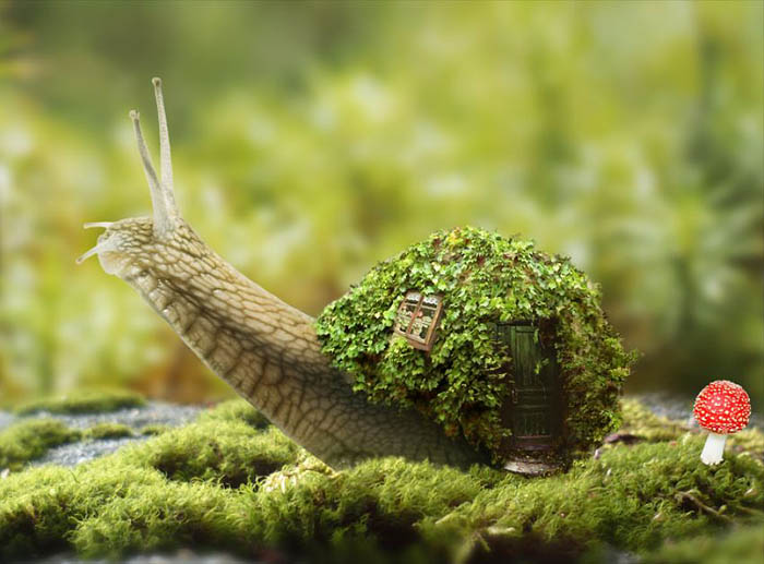 PS合成蜗牛背上的梦幻房子教程(图文教程),选择,直径,形状,第42张 PS合成蜗牛背上的梦幻房子教程(图文教程),PS合成蜗牛背上的梦幻房子教程,选择,直径,形状,第42张