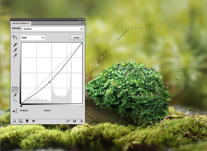 PS合成蜗牛背上的梦幻房子教程(图文教程),选择,直径,形状,第27张 PS合成蜗牛背上的梦幻房子教程(图文教程),PS合成蜗牛背上的梦幻房子教程,选择,直径,形状,第27张
