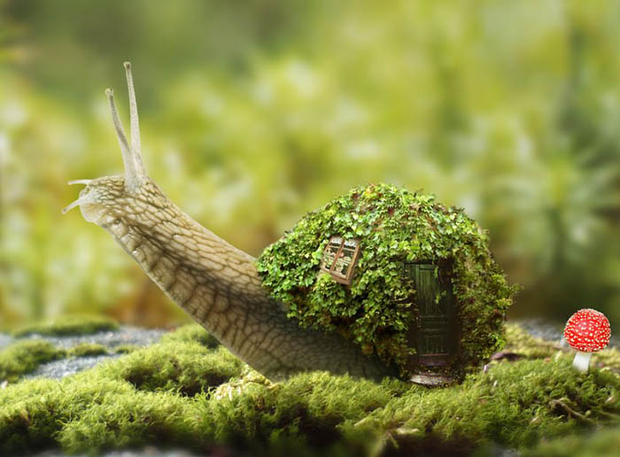 PS合成蜗牛背上的梦幻房子教程(图文教程),选择,直径,形状,第43张 PS合成蜗牛背上的梦幻房子教程(图文教程),PS合成蜗牛背上的梦幻房子教程,选择,直径,形状,第43张