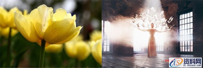 从这四个方面挑选图片素材,可以提高电商设计的出图质量(图文教程) ...,设计,产品,一般,第15张 从这四个方面挑选图片素材,可以提高电商设计的出图质量(图文教程) ...,bp2016082111,设计,产品,一般,第15张