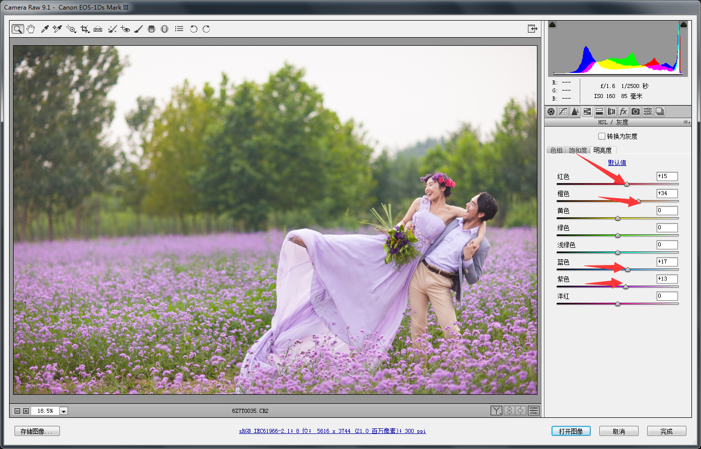 PS婚片后期——外景花海薰衣草(图文教程),PS婚片后期——外景花海薰衣草,用于,这个,什么,第7张
