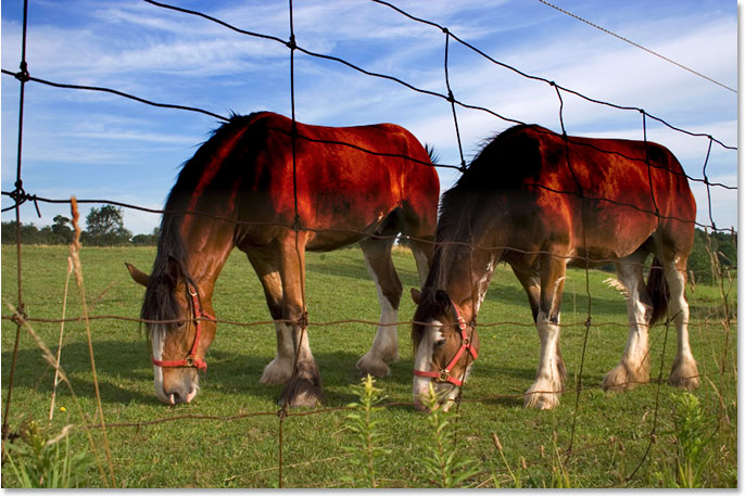 同呼吸共命运!手把手教你给图像加上逼真的蓝天效果(图文教程) ...,选择,加强,第12张 同呼吸共命运!手把手教你给图像加上逼真的蓝天效果(图文教程) ...,Adobe Photoshop photo editing and photo retouching tutorial image,选择,加强,第12张