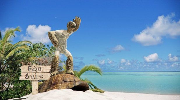 3dMax制作幽默海龟(图文教程),设计,一般,这个,第1张 3dMax制作幽默海龟(图文教程),3dMax制作幽默海龟,设计,一般,这个,第1张