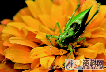 PS有哪些快速选中对象的方法呢?,要求,设计,产品,第13张 PS有哪些快速选中对象的方法呢?,要求,设计,产品,第13张