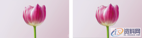 PS有哪些快速选中对象的方法呢?,要求,设计,产品,第5张 PS有哪些快速选中对象的方法呢?,要求,设计,产品,第5张