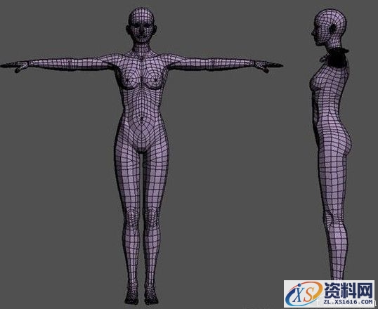 3DMAX制作克劳族少女(图文教程),采用,设计,尺寸,第2张 3DMAX制作克劳族少女(图文教程),3DMAX制作克劳族少女,采用,设计,尺寸,第2张