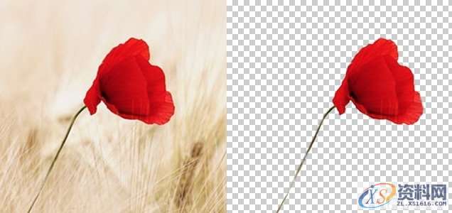 平面设计中的抠图技法与修图思路,设计,产品,结构,第6张 平面设计中的抠图技法与修图思路,设计,产品,结构,第6张