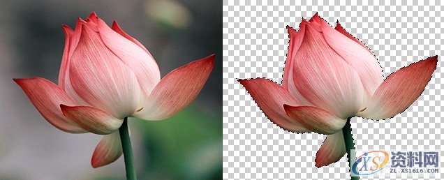 平面设计中的抠图技法与修图思路,设计,产品,结构,第8张 平面设计中的抠图技法与修图思路,设计,产品,结构,第8张