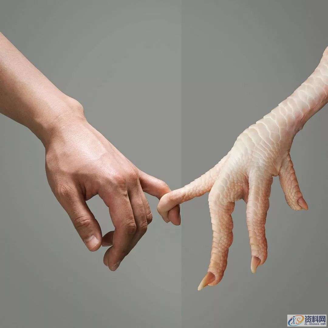 这些PS大神的设计的创意图片,你最佩服哪一张?这些PS大神的设计的创意图片,你最佩服哪一张?,设计,产品,模具,第4张 这些PS大神的设计的创意图片,你最佩服哪一张?这些PS大神的设计的创意图片,你最佩服哪一张?,这些PS大神的设计的创意图片,你最佩服哪一张?,设计,产品,模具,第4张