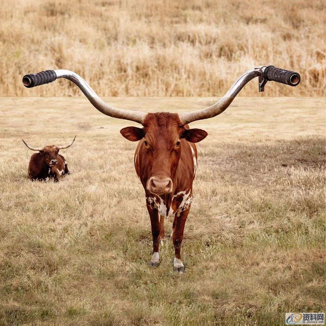这些PS大神的设计的创意图片,你最佩服哪一张?这些PS大神的设计的创意图片,你最佩服哪一张?,设计,产品,模具,第11张 这些PS大神的设计的创意图片,你最佩服哪一张?这些PS大神的设计的创意图片,你最佩服哪一张?,这些PS大神的设计的创意图片,你最佩服哪一张?,设计,产品,模具,第11张