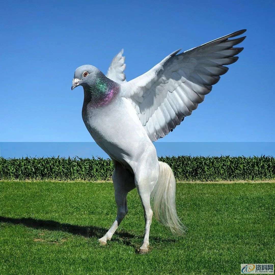 这些PS大神的设计的创意图片,你最佩服哪一张?这些PS大神的设计的创意图片,你最佩服哪一张?,设计,产品,模具,第15张 这些PS大神的设计的创意图片,你最佩服哪一张?这些PS大神的设计的创意图片,你最佩服哪一张?,这些PS大神的设计的创意图片,你最佩服哪一张?,设计,产品,模具,第15张