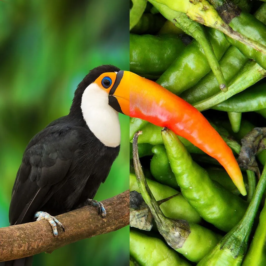 这些PS大神的设计的创意图片,你最佩服哪一张?这些PS大神的设计的创意图片,你最佩服哪一张?,设计,产品,模具,第1张 这些PS大神的设计的创意图片,你最佩服哪一张?这些PS大神的设计的创意图片,你最佩服哪一张?,这些PS大神的设计的创意图片,你最佩服哪一张?,设计,产品,模具,第1张