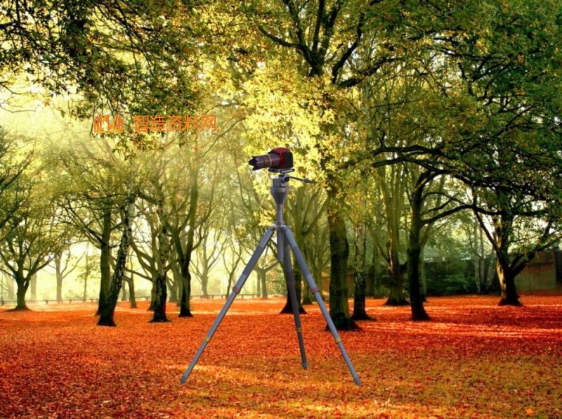 照相机云台和三脚架,NeadPay,第12张 照相机云台和三脚架,NeadPay,第12张